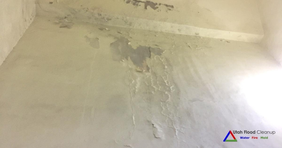 How to Find and Repair Water Leaking in the Wall