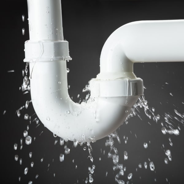 Professional Water Restoration in Action