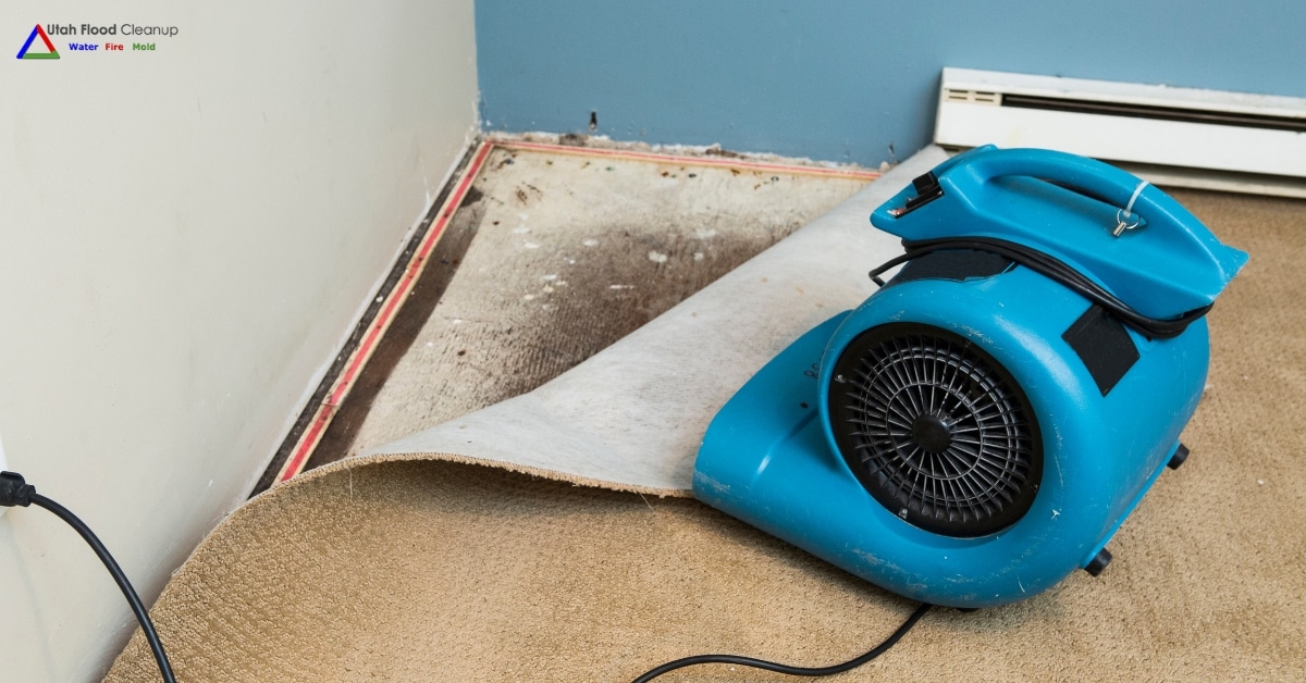 Professional flooded carpet cleaning and restoration in a Utah home