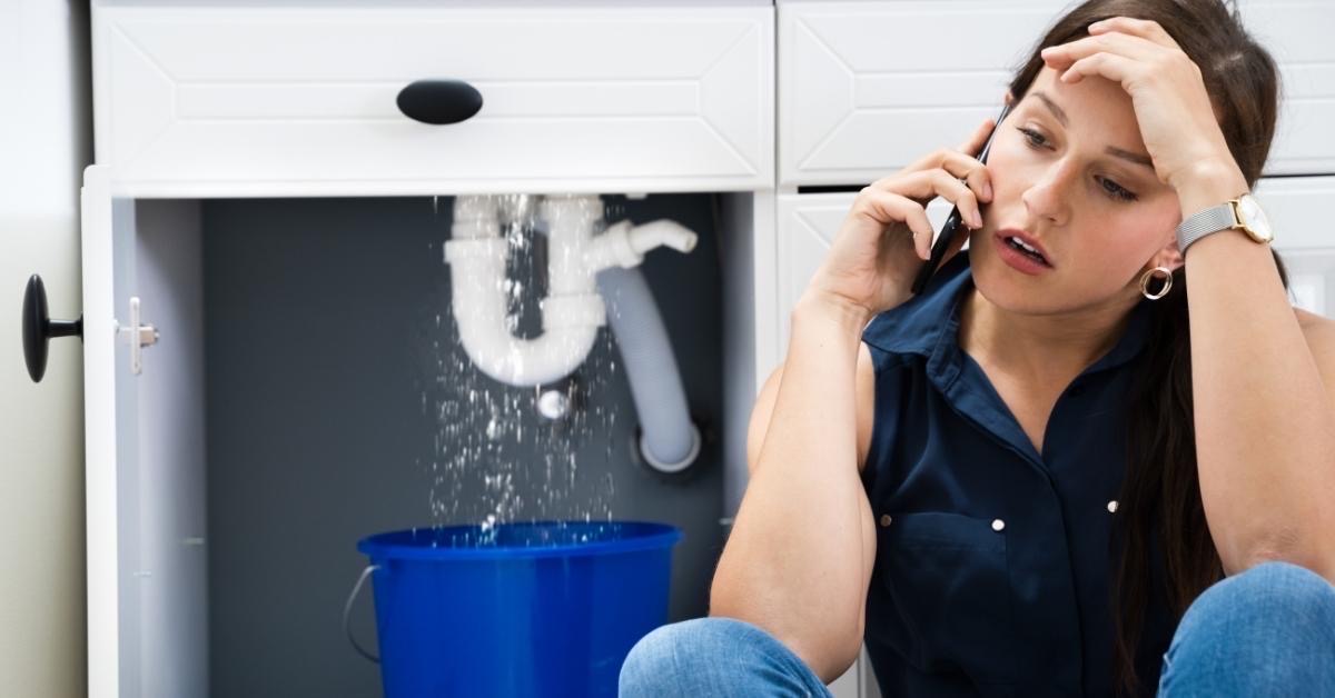 Examples and Signs of Water & Mold Damage in Your House