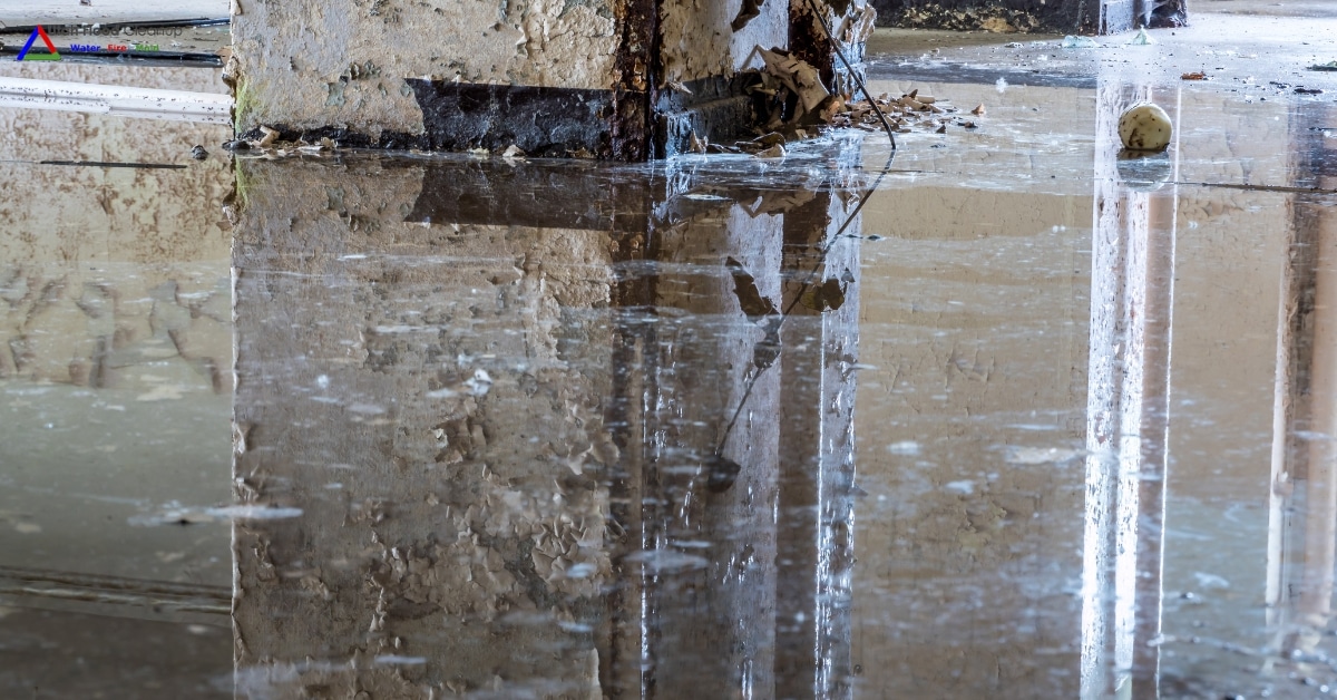 Expert Water Damage Restoration Services in Utah