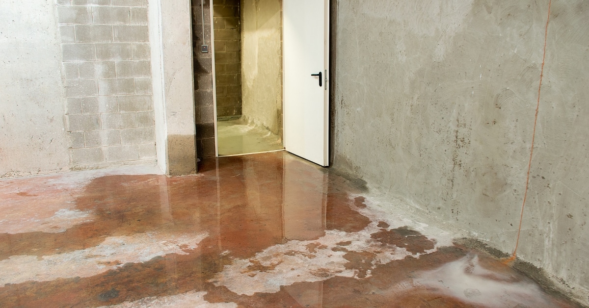Residential Water Damage Cleanup Ogden Salt Lake City