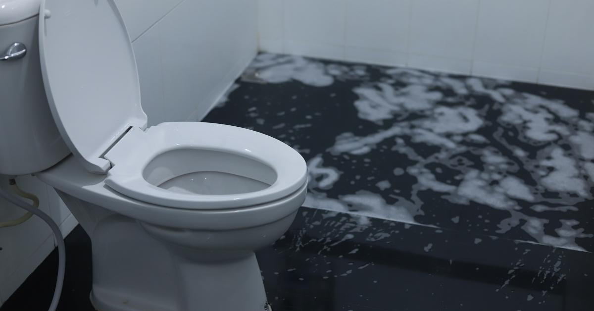 Toilet Overflow Cleanup Services in Utah