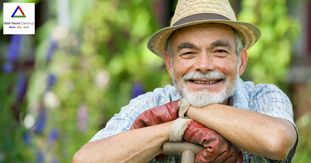 Happy Old Man Sitting in The Park - Prevent Summer Hazards Around Your Home