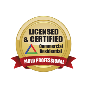 Certified Professional Mold Inspection, Testing, and Remediation Services in Utah