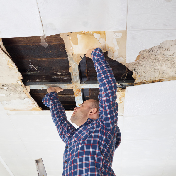 Dangers of Ignoring Ceiling Water Damage.