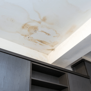 Mold damage signs on residential ceiling