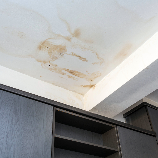 Common Signs of Ceiling Water Damage.