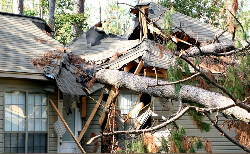 Fallen Tree on a house - Storm Damage Restoration