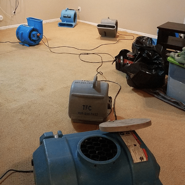 Utah Home Cleanup and Drying Process