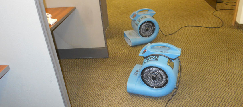 Drying Carpet With Industrial Fans  