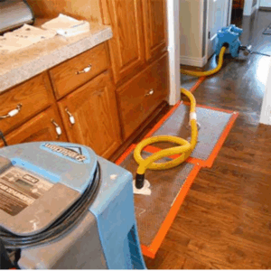Water restoration team using drying equipment in a flooded basement